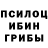 Псилоцибиновые грибы Cubensis Stepan Fyodorov