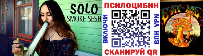 Галлюциногенные грибы Psilocybe Пермь